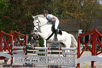 IMG_0017