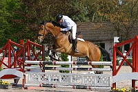 IMG_0029