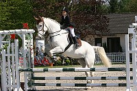 IMG_0003