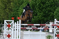 IMG_0012