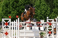 IMG_0050