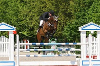 IMG_0061