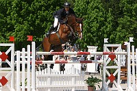 IMG_0068