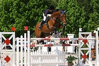 IMG_0080