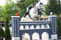 IMG_0084