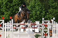IMG_0100