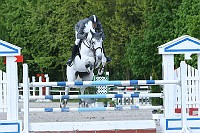IMG_0101