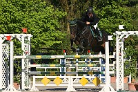 IMG_0006