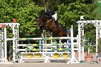 IMG_0031