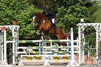 IMG_0040