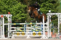 IMG_0041