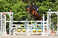 IMG_0049