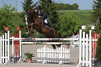 IMG_0003