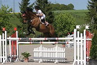 IMG_0006