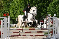 IMG_0014