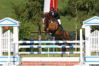 IMG_0066
