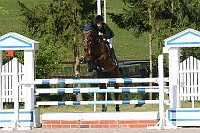 IMG_0110