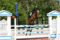 IMG_0185