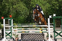 IMG_0186