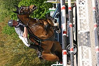 IMG_0050