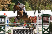 IMG_0010