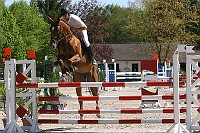 IMG_0011