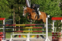 IMG_0011