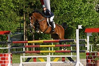 IMG_0014