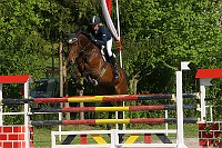 IMG_0037