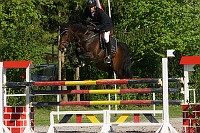 IMG_0041