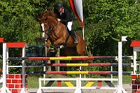 IMG_0054