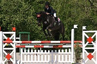 IMG_0010