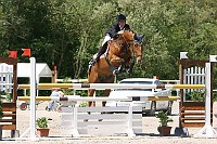 IMG_0017