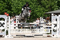 IMG_0019