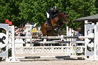 IMG_0054