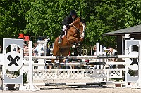 IMG_0084