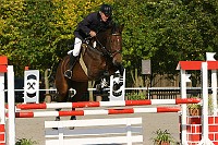 IMG_0328