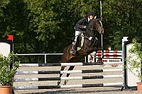 IMG_0341