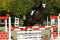 IMG_0348
