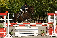 IMG_0352