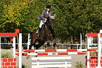 IMG_0356