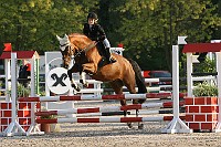 IMG_0413
