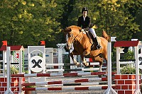 IMG_0416
