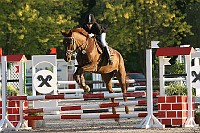 IMG_0420