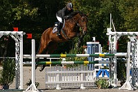 IMG_0078