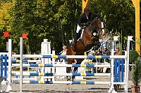IMG_0106