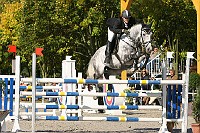 IMG_0130