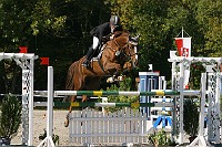 IMG_0132