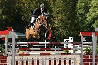 IMG_0190