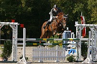 IMG_0197